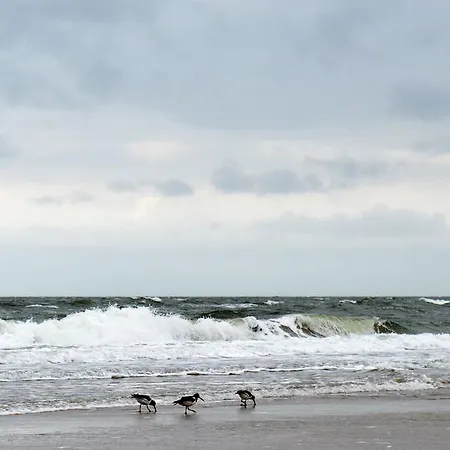 Konukevi At The Beach Egmond Egmond aan Zee